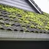 Your roof is green moss covered, need to get roof treatment service